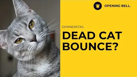 Dead-Cat-Bounce? | Micron unter Druck