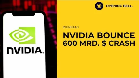 600 Mrd. US $ Crash | NVIDIA angeschlagen