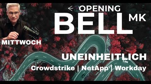 Erneut uneinheitlich | Crowdstrike bricht ein | NetApp schwach | HP Enterprise und Petco fest
