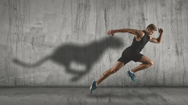 Oracle, Broadcom, Lululemon, Adidas und Puma – Was steckt hinter den Kursbewegungen?