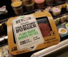 Was wir aus dem Irrsinn hinter der Beyond-Meat-Aktie lernen können