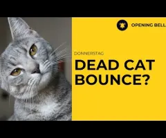 Dead-Cat-Bounce? | Micron unter Druck