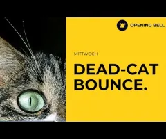 Dead-Cat-Bounce | Reaktion auf Ergebnisse überwiegend negativ