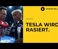 Tesla rasiert | Streit zwischen Musk und Trump flammt auf