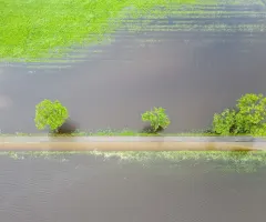 Hochwasser vernichtet die Ernte vieler Höfe