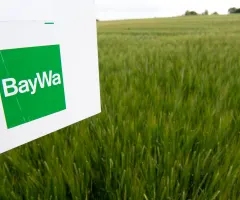 Kapitalerhöhung angekündigt: Erster großer Schritt der Baywa-Rettung