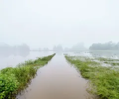 Saar-Bauern leiden unter Hochwasserschäden