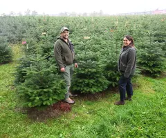 Vor der Weihnachtsbaum-Saison – So werden die Preise