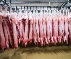 China: Antidumping-Untersuchung zu EU-Fleischimporten