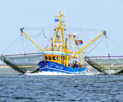 EU-Gericht nickt Fangverbote in der Nordsee ab
