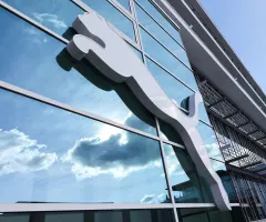 Puma: Gesundschrumpfen einer Raubkatze