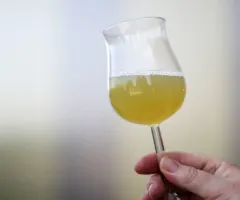 Süffig, süß, spritzig - die Federweißer-Saison beginnt