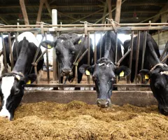 EU-Einigung: Weniger Bürokratie und Kontrollen für Landwirte