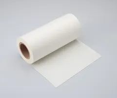 DNP entwickelt recyclebare hochdichte Monomaterial-Folien aus Papier für Verpackungen sowie andere industrielle Anwendungen