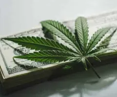 Cresco Labs vs. Canopy Growth – welche ist die bessere Cannabis-Aktie?
