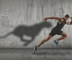 Oracle, Broadcom, Lululemon, Adidas und Puma – Was steckt hinter den Kursbewegungen?