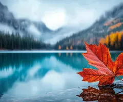 Jahresendrally in Gefahr? AMD, Meta und Rheinmetall in der Analyse mit Lars Erichsen