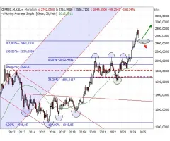 Gold (Monthly) - 2.500 USD als strategische Absicherung