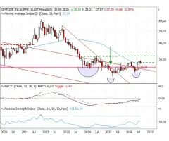Pfizer - Bodenbildung nimmt Gestalt an