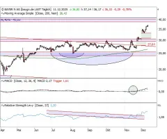 Bayer - Gaps, die offen bleiben, …