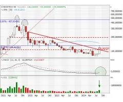 BioNTech (ADR) (Monthly) - Trendwende geschafft!?!