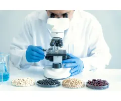 Die Transformation des Gesundheitswesens: Telehealth als neue Plattformökonomie