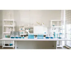 Pfizer, Johnson & Johnson und UnitedHealth Group: Treiber der zukunftsweisenden Transformation im globalen Gesundheitsmarkt