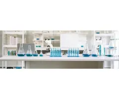 US-Zollpolitik und Investitionsentscheidungen im Pharmabereich