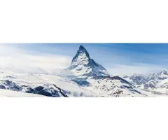 Die Vontobel Schweizer Aktienfavoriten fürs 2025