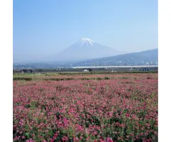 Japans Aktienmarkt in neuem Glanz