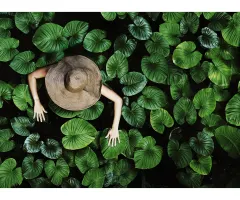 Mehr als ein Schönheitswettbewerb: „Little Luxuries“ und der Beauty-Markt