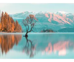 NZD/USD – Notenbank senkt erneut die Zinsen