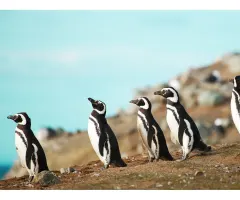 EUR/ZAR – Lockerere Geldpolitik, fragiler Rand