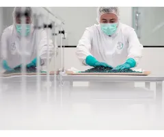 Bayer – Besser als erwartetes Pharmageschäft begeistert Investoren