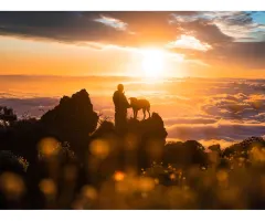 Gold – Gold legt Verschnaufpause ein