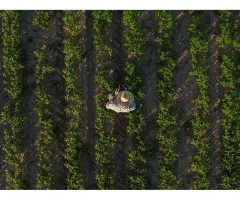 Nutrien – Konzernumbau trägt Früchte