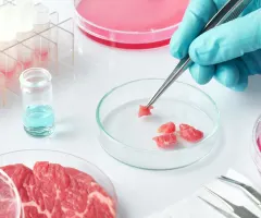 Fleisch aus dem Labor – ein Zukunftstrend, von dem viele Unternehmen profitieren wollen – Merck und Nestlé wagen sich vor