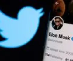 Musk sichert sich für Twitter-Übernahme sieben Mrd Dollar