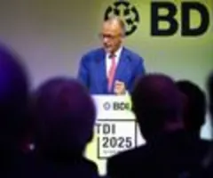 Merz: EU sollte mit USA Zollabkommen für wenige Branchen aushandeln