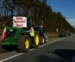 Ukraine fordert Bestrafung nach Zerstörung von tonnenweise Getreide in Polen