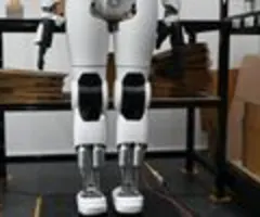 Deloitte: Unternehmen erwarten Gewinnschub durch KI-Roboter