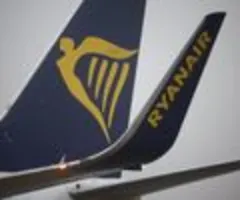 Ryanair-Chef zeigt sich gemäßigt im Starlink-Streit mit Musk