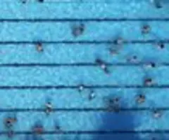 Inflation im Schwimmbad: Eintrittspreise steigen um 5,7 Prozent