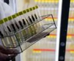 Ifo: Deutsche Industrie bei Hightech-Forschung international hinten