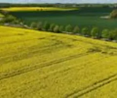 Deutschland hält Klimaziele 2024 ein - Expertenrat sieht Risiken für 2030-Ziel