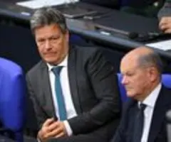 Habeck - Bald Klarheit mit EU über Kraftwerksstrategie