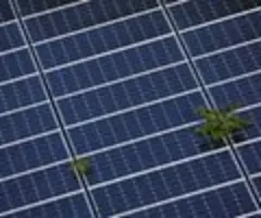 US-Solarverband: Trumps Steuerplan gefährdet fast 300.000 Jobs