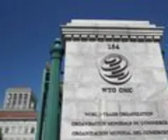 Indien beantragt bei WTO Gegenzölle auf US-Waren