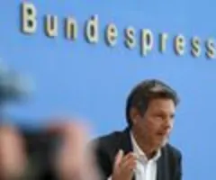Habeck will Ökostrom-Förderung erneut erhöhen - FDP widerspricht