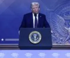 Trump ordnet Überprüfung von Stimmrechtsberatern an